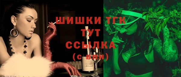 гашик Бородино