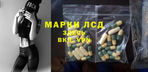 гашик Бородино