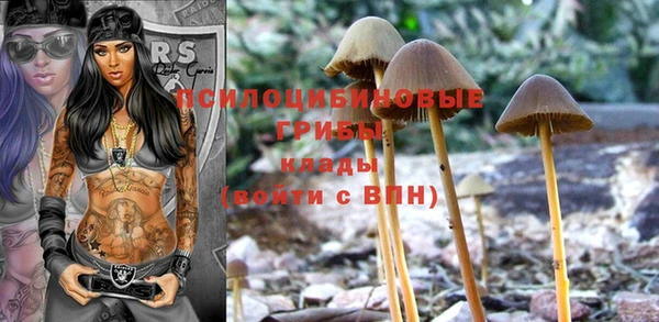 гашик Бородино