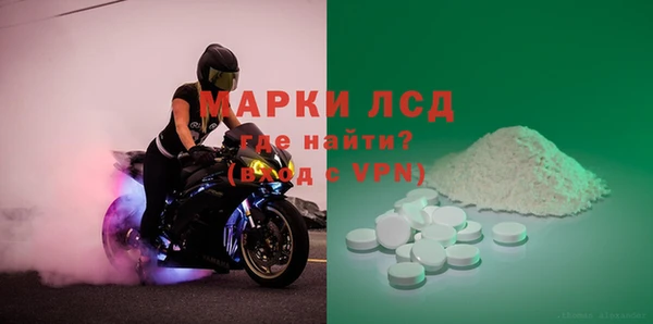 гашик Бородино
