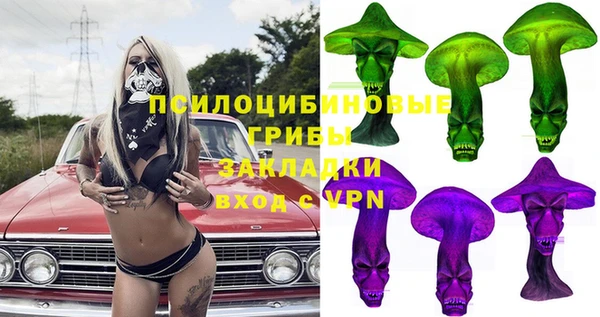 гашик Бородино